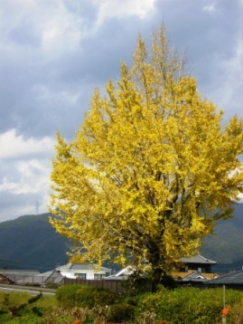 e0280693_14253791.jpg