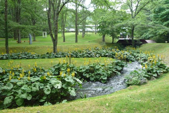 b0283699_10294064.jpg