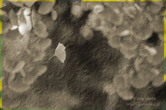 e0008800_036036.jpg