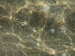 d0024504_22492561.jpg