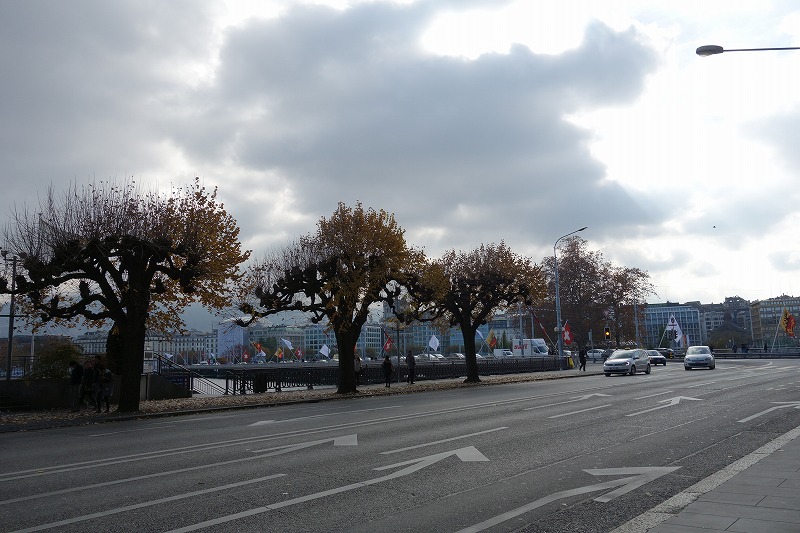 e0181908_1614243.jpg