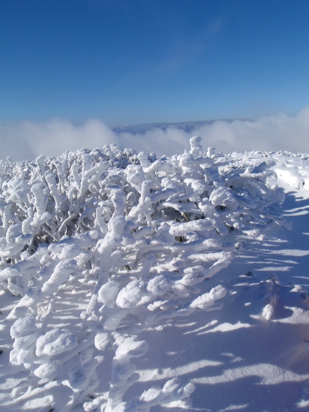c0177814_233243.jpg