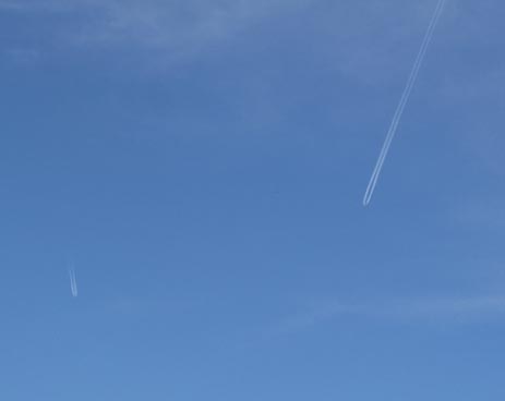 d0072917_193997.jpg