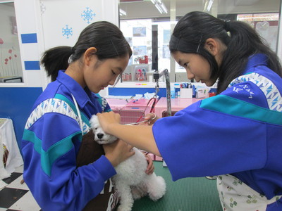 a0176220_16141613.jpg
