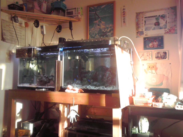 a0291521_1691147.jpg