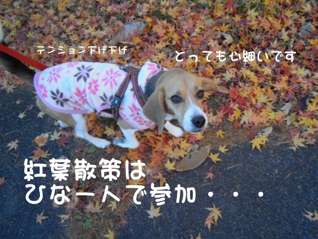 c0166622_9121861.jpg