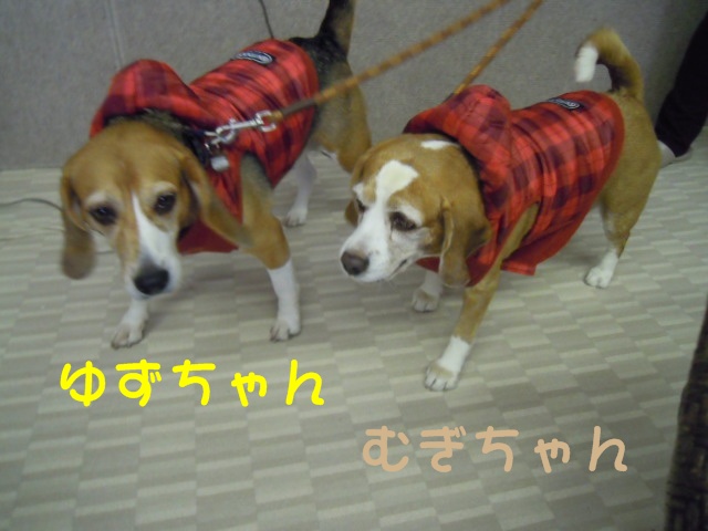 c0166622_9214939.jpg