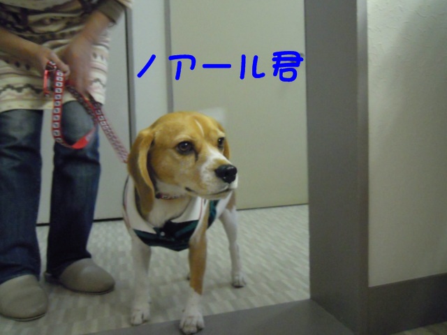 c0166622_9221066.jpg