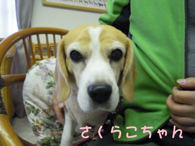 c0166622_922199.jpg