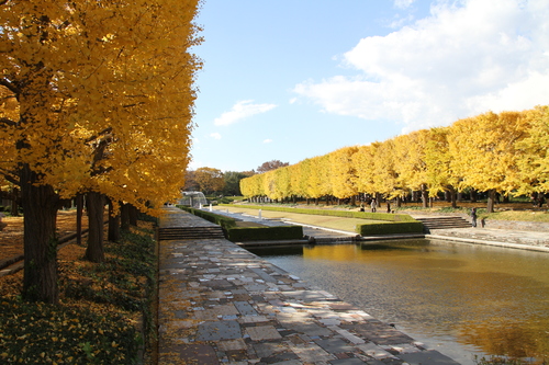 b0162824_21232656.jpg