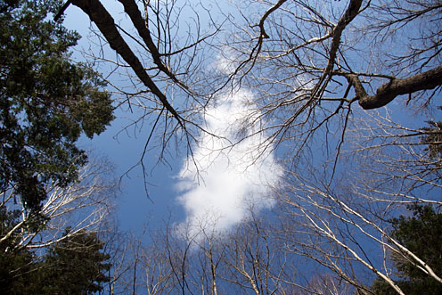 e0025030_1023229.jpg