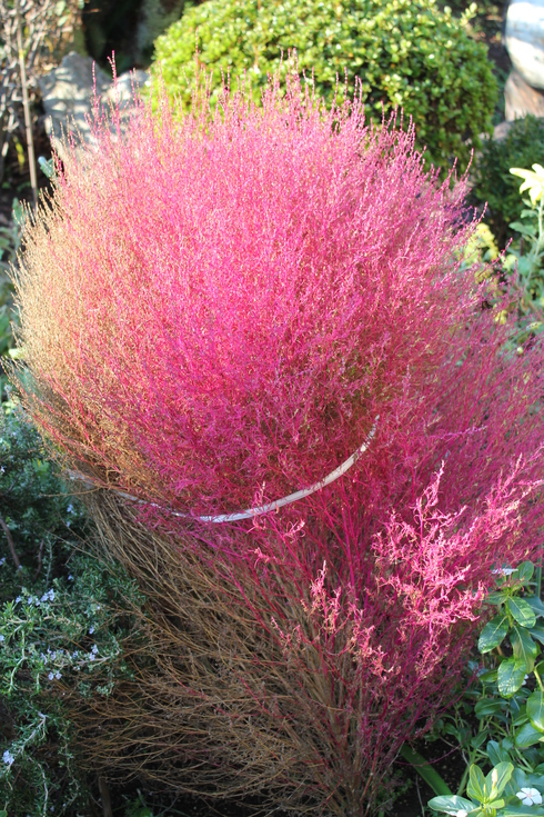 e0166032_2273174.jpg