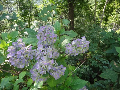e0238838_2353188.jpg