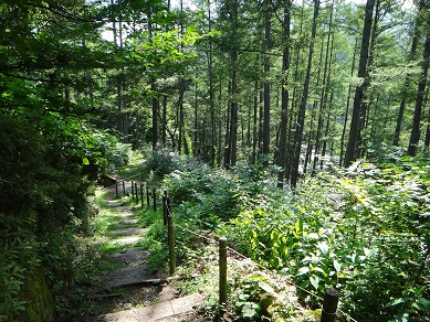 e0238838_236699.jpg