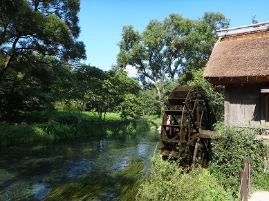 e0238838_2492297.jpg