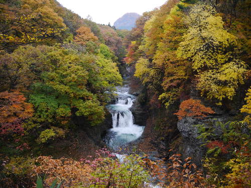 c0195439_0241359.jpg