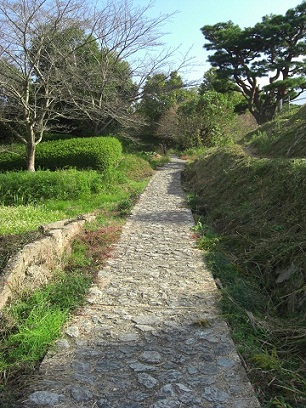 a0031041_2143994.jpg