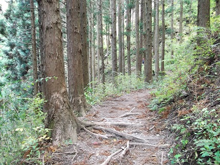 e0248844_18395067.jpg