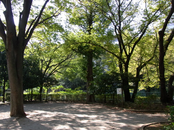 a0175545_2350517.jpg