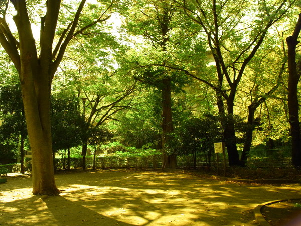 a0175545_23541693.jpg