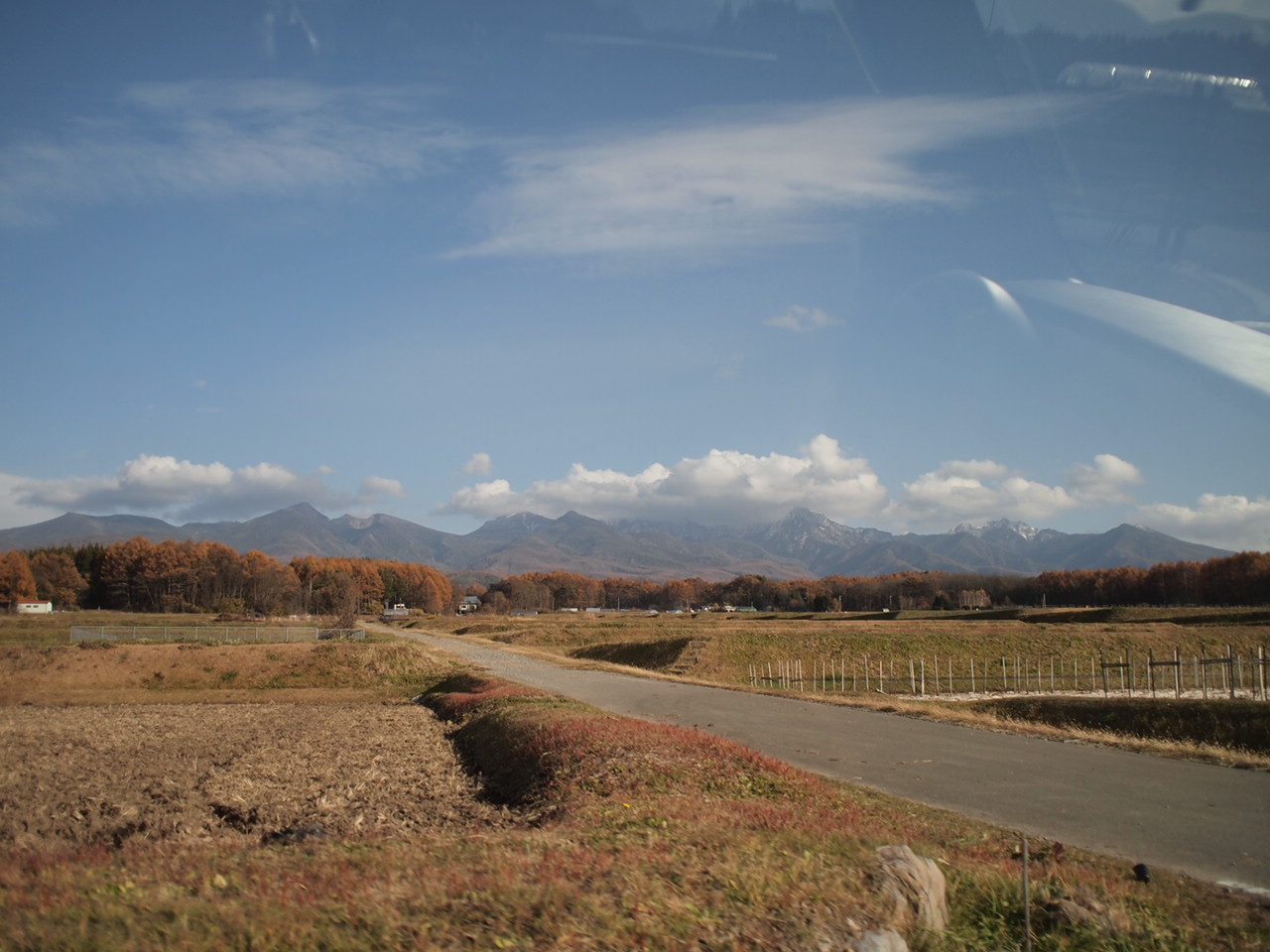 a0299945_15462994.jpg