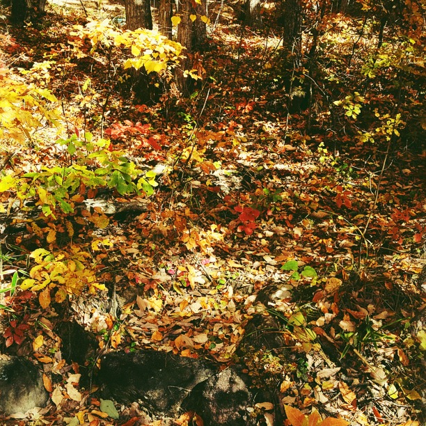 d0008146_135868.jpg
