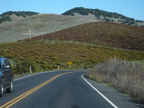 c0245349_3395195.jpg