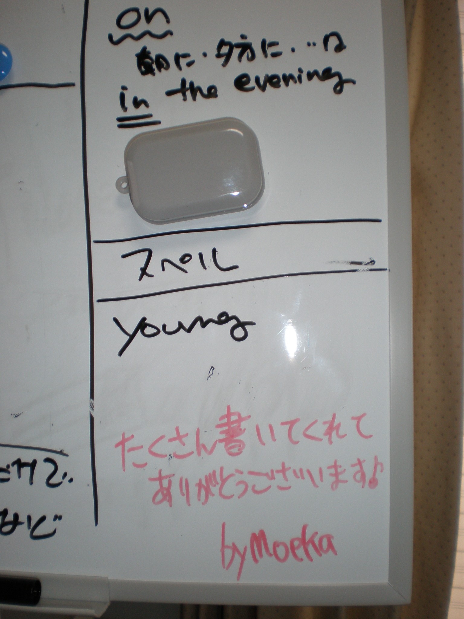 d0006253_00854.jpg