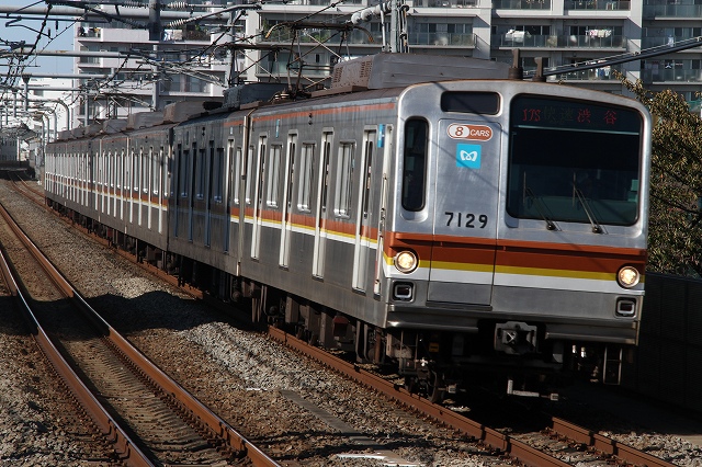 b0002858_2031930.jpg