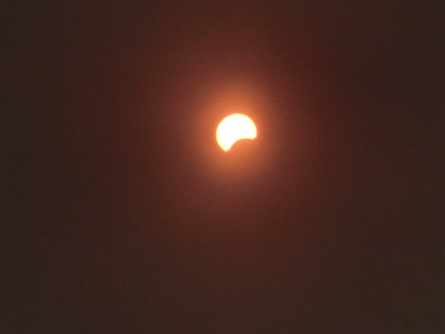 e0171460_1583083.jpg