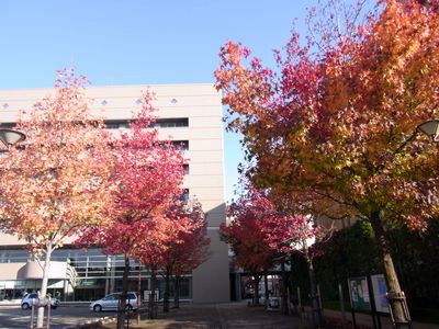 f0106664_22171053.jpg
