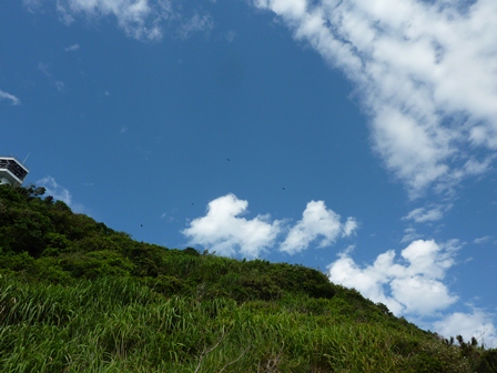 d0168567_20551961.jpg
