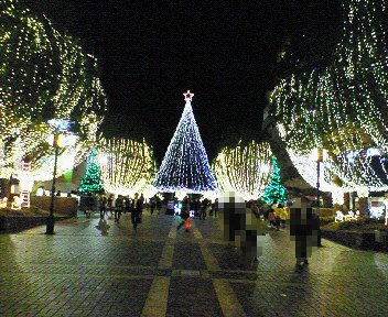 c0014187_1224939.jpg