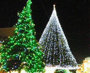 c0014187_1253723.jpg