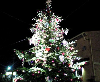 c0014187_1324862.jpg