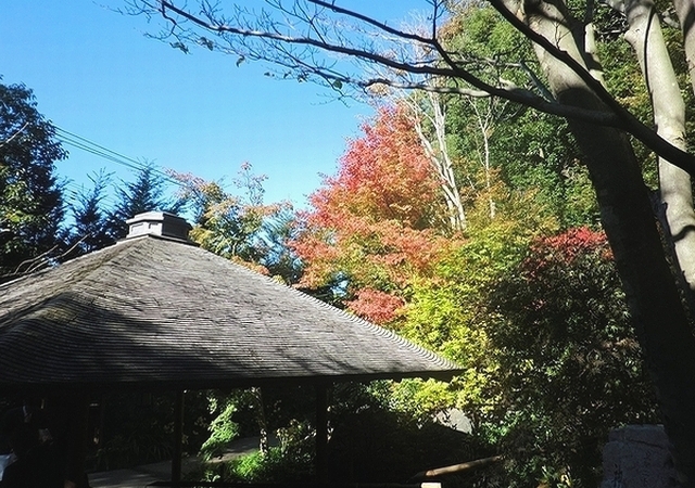 e0143690_10163037.jpg