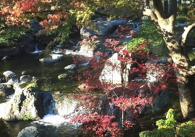 e0143690_10172196.jpg