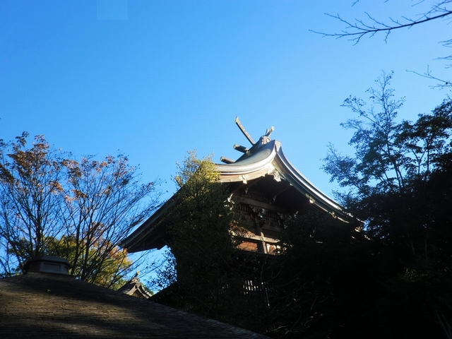 e0143690_10263675.jpg