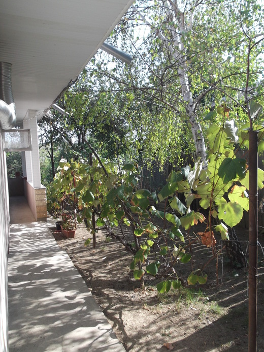 c0042797_1892388.jpg