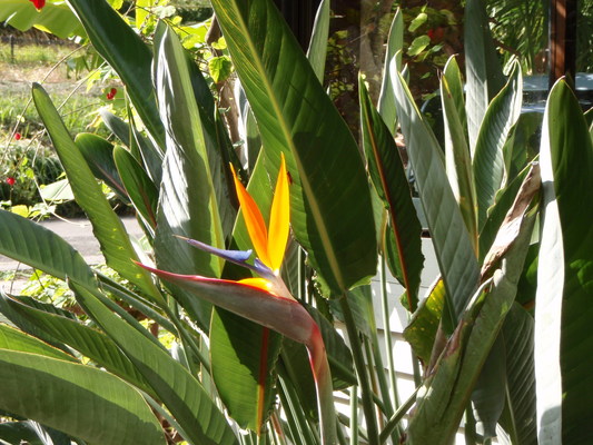 e0269900_2011284.jpg