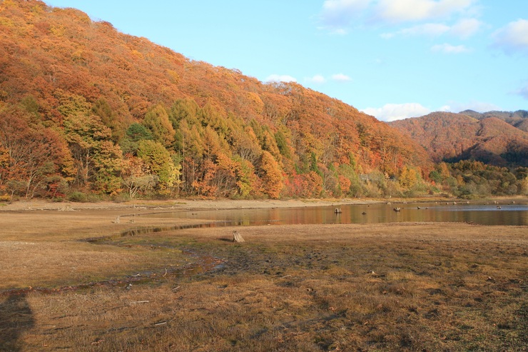 f0034602_21185993.jpg
