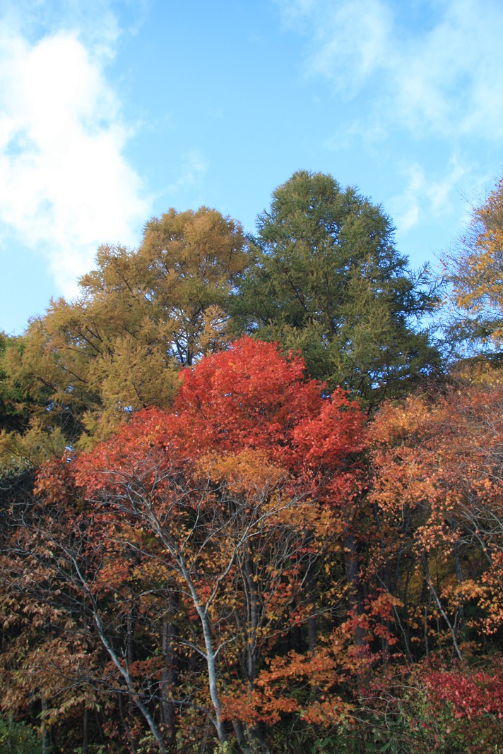 f0034602_21193750.jpg