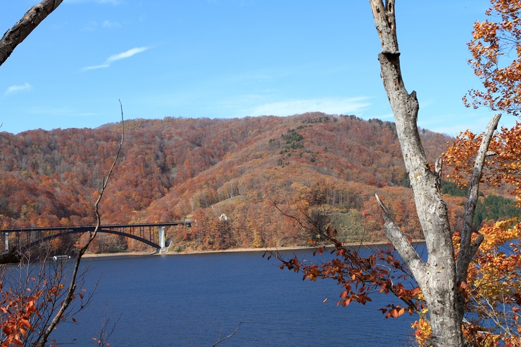 f0034602_21215018.jpg