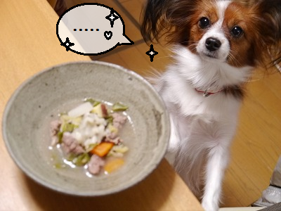 b0243804_2019198.png