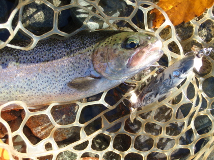c0023804_1101635.jpg