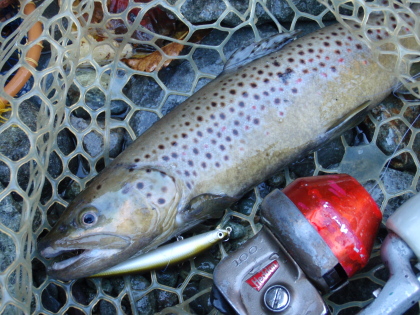 c0023804_11105596.jpg