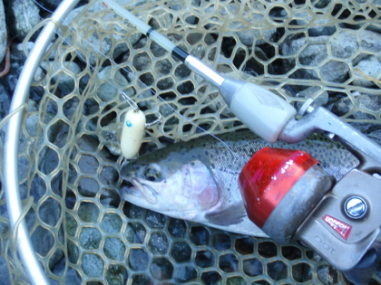 c0023804_1162277.jpg