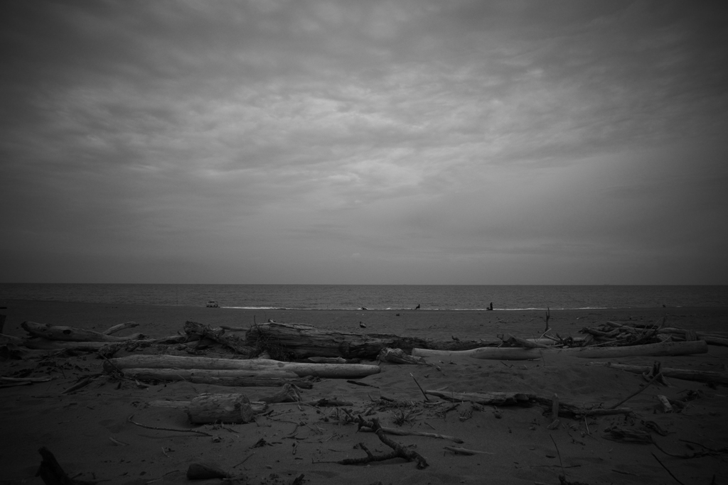d0119505_23402073.jpg