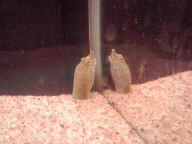 a0291521_18393037.jpg