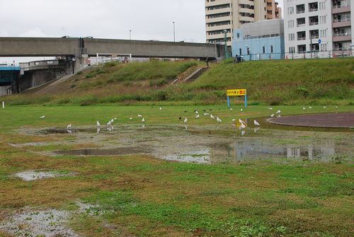 f0214121_2142617.jpg